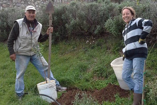 Progetto frutticolo